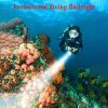 Rechargeable Diver Light LED Underwater Torch Lamp Waterproof Dive Lamp