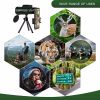 Monocular telescope - green